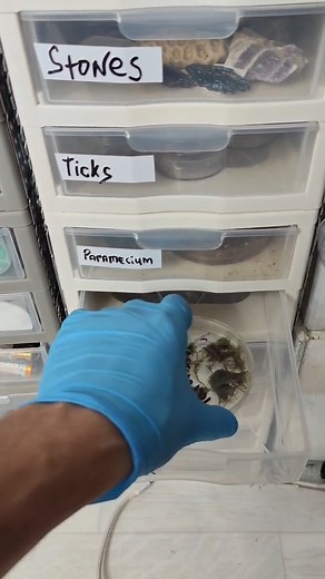 43K views · 278 reactions | testng under microscope  part 2 #microscopy #science #experiment #microscope #scienceisfun | Mir Glazami Microscopa | Facebook