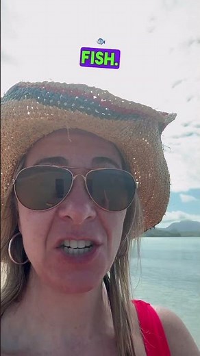 Experience Stunning beach, Snorkeling, Kayaking at St. Kitts. Island Carambola Beach Club Resort