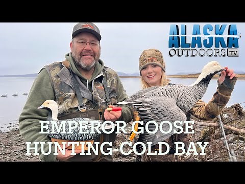 Tony's Epic Emperor Goose hunt in Coldbay with Aleutian Island Waterfowlers