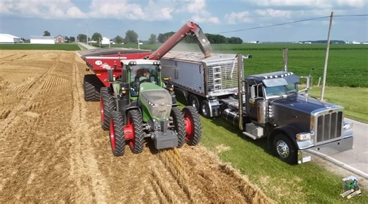 Mike Less - Farmhand Mike -- In this video I am out in the field with a farm in Darke County Ohio as they harvest their 2025 winter wheat crop in early July. After the wheat is harvested they are no-till planting soybeans into the harvested field. They are harvesting the wheat with their Claas Lexion 740 combine with a Claas Convio draper head. Running in the field with the combine is their Fendt 1038 Tractor pulling a J&M X1112 grain cart. I also go along as they haul a load of wheat back to th