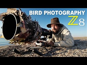 Bird Photography With Homemade Sled