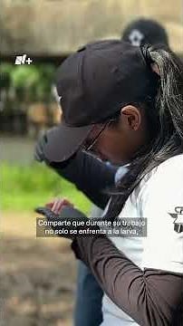 Alerta de Gusano Barrenador, Llegó en Ganado del Narco