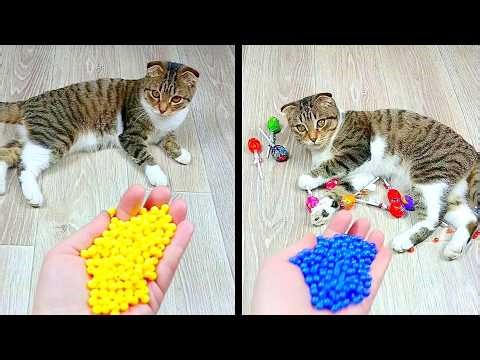 Satisfying Reverse Video ASMR 💥 Marble Run and More