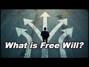 What is Free Will?