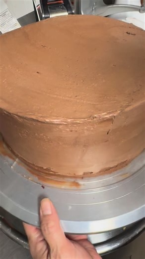 I took the video of how Chef Ruby made the chocolate cake and asked why it’s light brown. (Our chocolate cake is dark brown) She said she discovered the best chocolate cake hack. 🤔 #aliceandfriends #veganfood #FoodHack #chicagovegans #BeforeAndAfter #ChocolateCake | Alice & Friends' Vegan Kitchen
