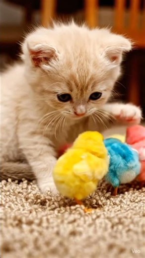 What a pretty view 😍