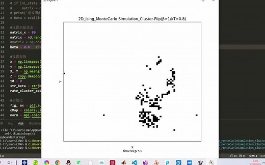 Ising模型的蒙特卡洛模拟（Single-Spin-slip与Wolff算法） CPU：别急，你别急