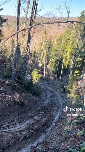 #Zil131 #6x6 #Offroad #Logging #timber #wood #mud #Mudrunner #Georgia #საქართველო | Урал Лесовоз