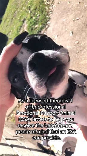 Emotional Support Animals: Get Your ESA Letter Today