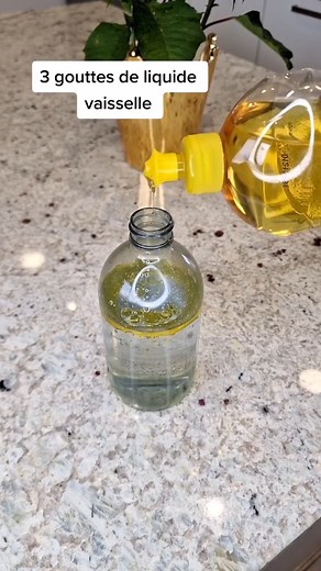 Comment avoir une maison sans poussière 😁#cleaningmotivation #cleanwithme #cleaning #clean | Clean Tidyorganized