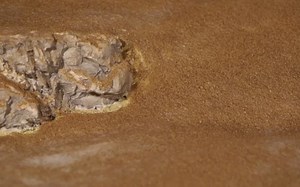 Formula for making "Wet Water" - Model Railroad Scenery