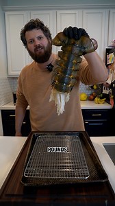 2lb lobster cook step by step