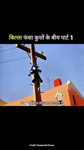 #cartoon #百科密码 #funny #知识渊博