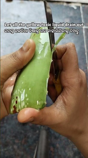 ⚠️ Yellow Toxic Liquid in Aloe Vera | Right Way to Use Fresh Aloe Vera Safely 🌿#AloeVera#tips