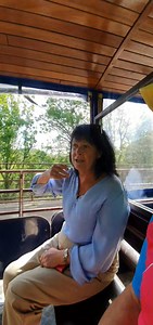 111K views · 2.4K reactions | I'm cycling the Waterford Greenway when a heritage railway comes into view. The brilliant Waterford Suir Valley Railway is a narrow gauge train running over 10kms to Waterford City along the river and Greenway. My bike jumps at the chance of a lift 3kms to Mount Congreve Gardens #irelandsancienteast #waterfordgreenway | Timmy Mallett | Facebook