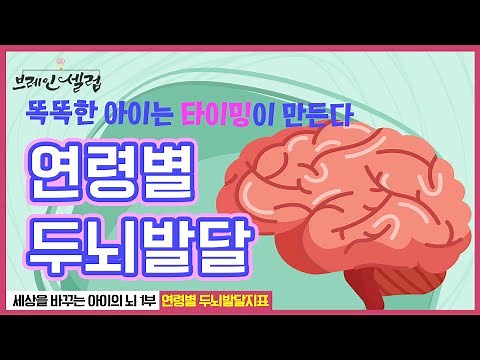 연령별 두뇌발달 | 똑똑한 아이를 만드는 오감 발달 놀이 시기 | 두뇌발달에 타이밍이 중요한 이유