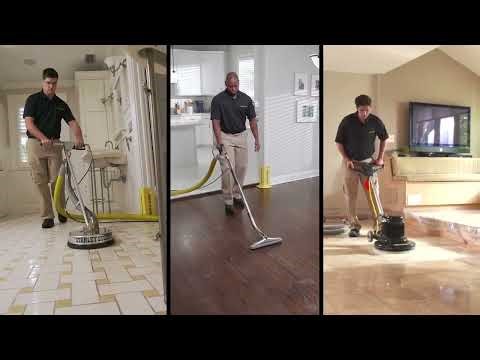 What to Expect From Stanley Steemer in Port Charlotte, FL | Before, During & After Your Cleaning