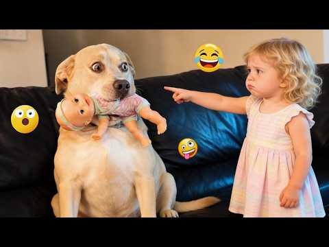 Try Not To Laugh 🤣 Most Watched Funny Dog Videos Compilation 🐶 #10