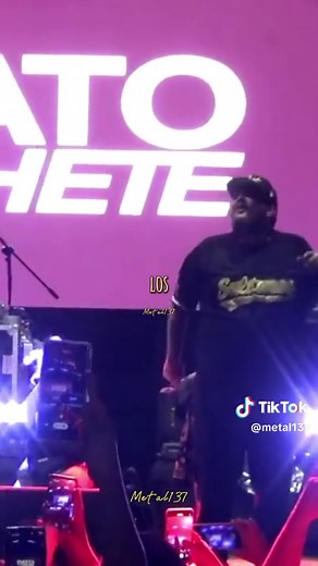 Fermín IV y Pato Machete: Historia del Control Machete
