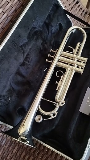 Weril🎺E-373 SiB lindo a pronta entrega 😉 aproveite o desconto Black Friday 😊🎺
