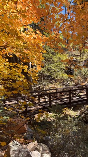 There’s just something magical about Arizona’s Rim Country in the fall 🍁 Cool mountain air, bursts of color, and endless forest views @- it never fails to remind me how diverse and beautiful Arizona really is. #arizonafall #Arizona #mogollonrim #rimcountry #explorearizona | Selma_explores