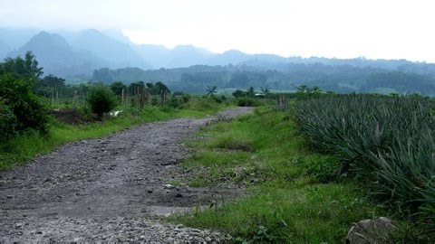 clip-4009009455-february-20---2026-satak-java-indonesia