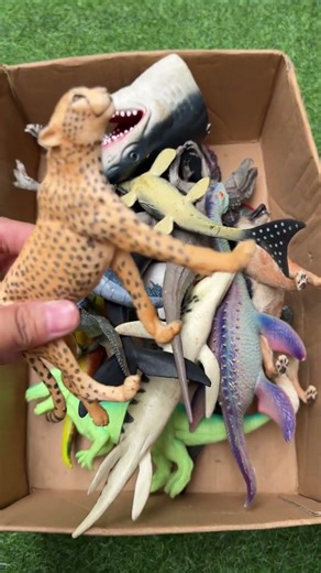 Dinosaur Jurassic World Toy In The Box ASMR Review