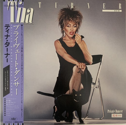 Tina Turner - Private Dancer