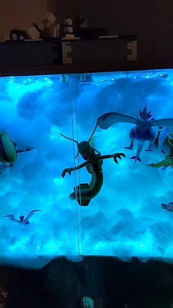 Top Shelf Pokémon Display: Our Favorite Figurines