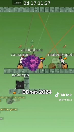 DDnet 2024: DD Race Network Highlights