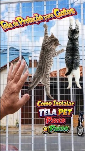 Cat Protection Screen: How to Install a Protective Screen on a Window and Balcony - Pet Screen St...