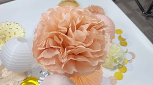 21 Pcs Boho Happy Birthday Decorations With Happy Birthday Banner,Tissue Pom Poms Fan,Circle Confetti Garland,Paper Swirl Streamers Lanterns For Women Girls Birthdays Party(Champagne-Gold-Beige)