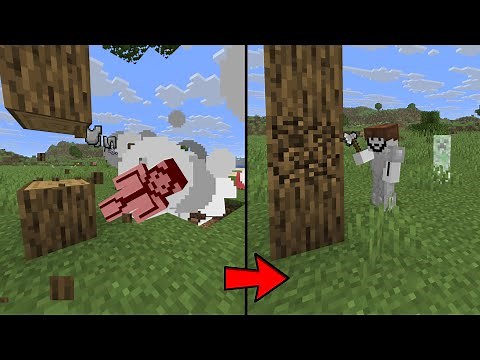 Minecraft But I Can Rewind Time