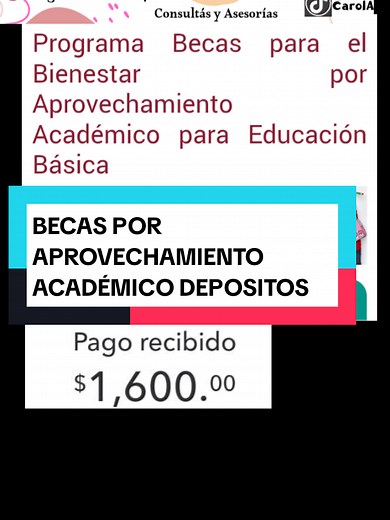 Becas por Aprovechamiento Académico en México