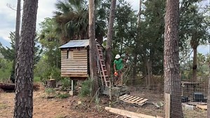 Tree removal over goat house | Tim Jackson | Facebook