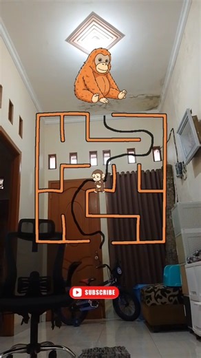 bertemu dengan ibu monkey #viral #fyp