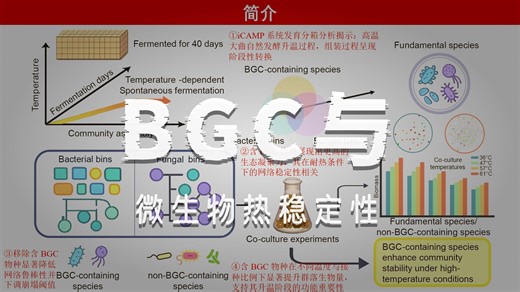 iMetaOmics | 江南大学吴群组&河南大学时玉组-解析高温发酵群落稳定性