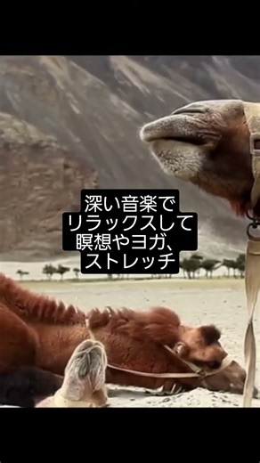 【30分】瞑想 ヨガ リラックス 睡眠のための音楽 8 シンギングボウル