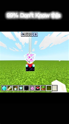 Minecraft TikTok Hack 😱 #minecraft #shorts