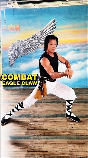Eagle Claw Kung Fu⚡Real Combat Precision