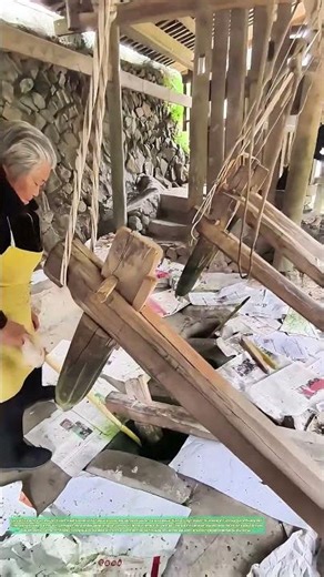 Le vent propulse le moulin : Comment l'énergie éolienne transforme la nourriture