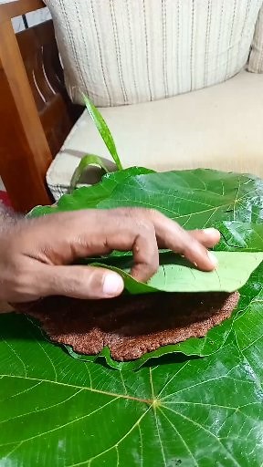 Halapa !! My Drooling Recipes | My Drooling Recipes