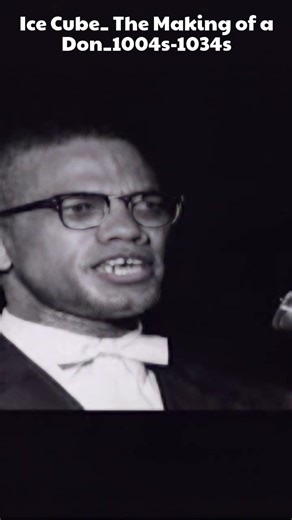 Ice Cube's Journey: From Rap Icon to Mogul #IceCube #HipHop #SuccessStory