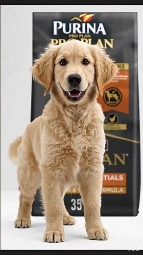 Best Dog Food of 2026 | Purina Pro Plan Complete Essentials | Best Dog Food On Amazon | #shorts