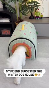 My puppy loves this bed 🐶 | Dogs Pets Puppies