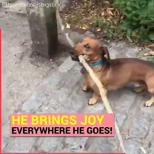 This is hilarious! | Positive Energy