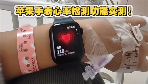 苹果手表心率检测功能实测! 听说你给橘子测出心跳后到处发苹果黑稿？