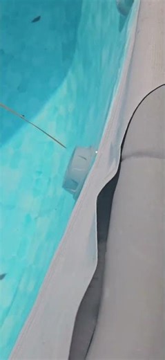 pool pump not working