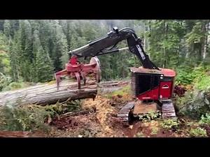 TIMBERPRO 755D west coast buncher cuts down world record 6 feet in diameter danger tree