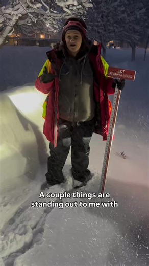 We’re almost halfway through this #blizzard in Avon, Connecticut where the snow and wind are just brutal. #connecticut #northeast #newengland | Meteorologist Alexis Clemons